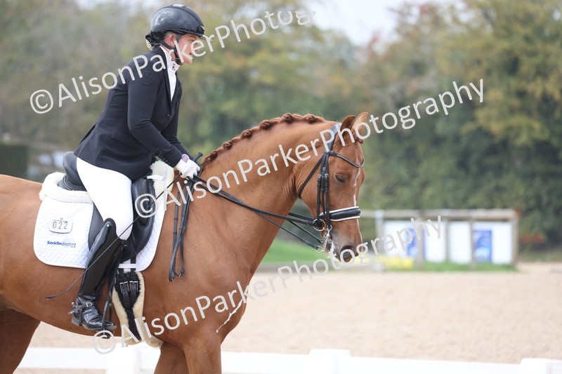 20251012-0819 - Class 9 - Advanced Medium 3