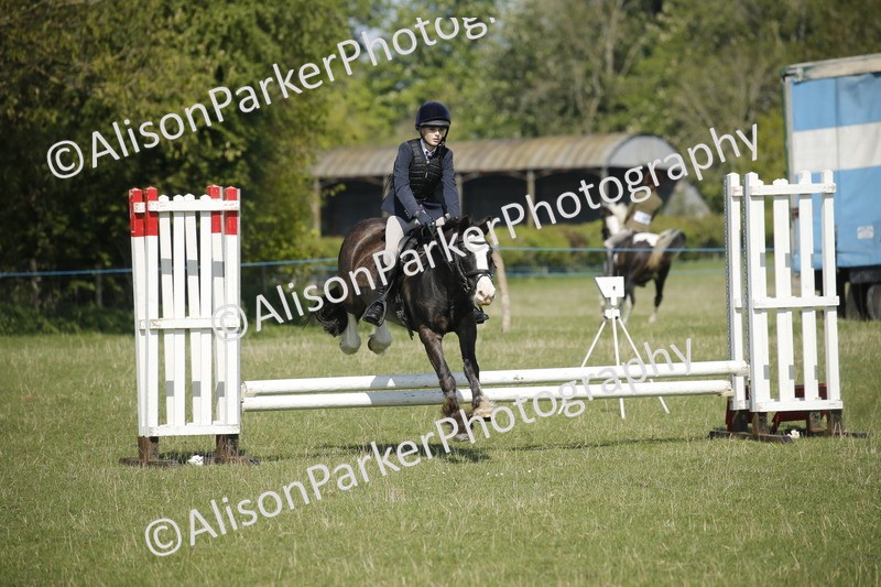 20250427-2031 - Class 13 - Novice Jumping 60cm