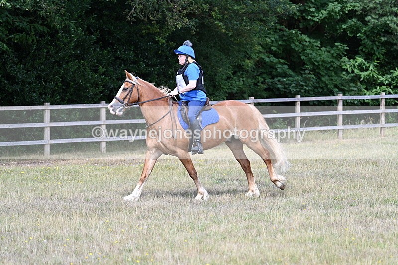 WJ7_0612 - 40cm Time 12:10 to 12:20