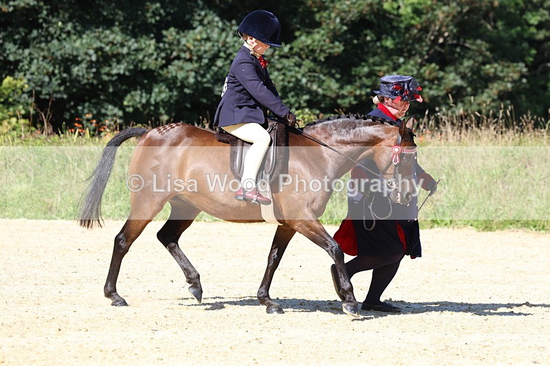 3E7A8048 - Class 15: Lead Rein