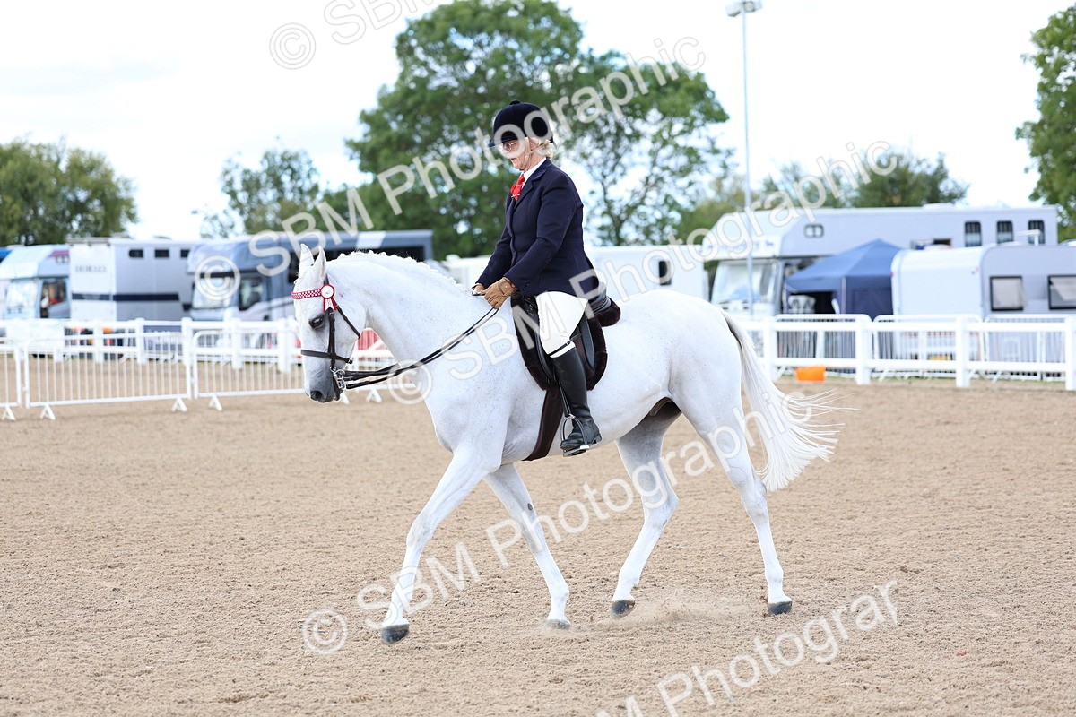 SBM_10133 - Class 304 - Ridden Part Bred Horse Pony