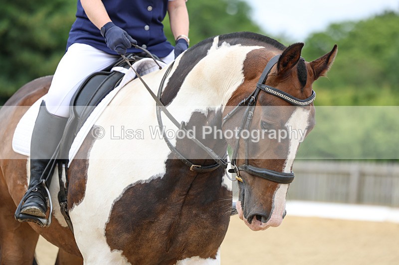 3E7A9204 - Class 2: Intro 1 2024 Section B