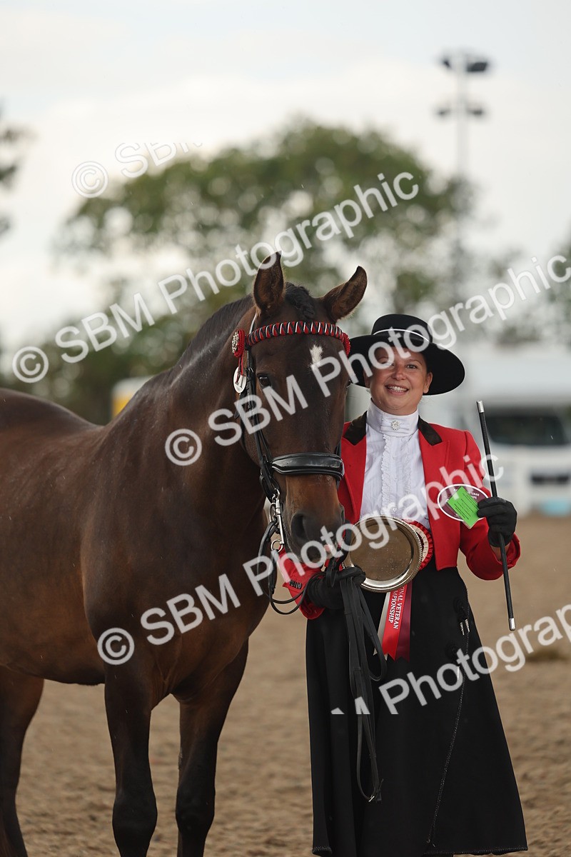SBM_07704 - Class 26 - IH Foreign Breeds - Part Bred