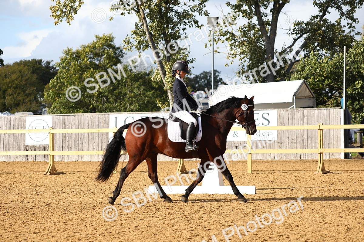 SBM_52600 - D23 - Junior Championship Prelim 1