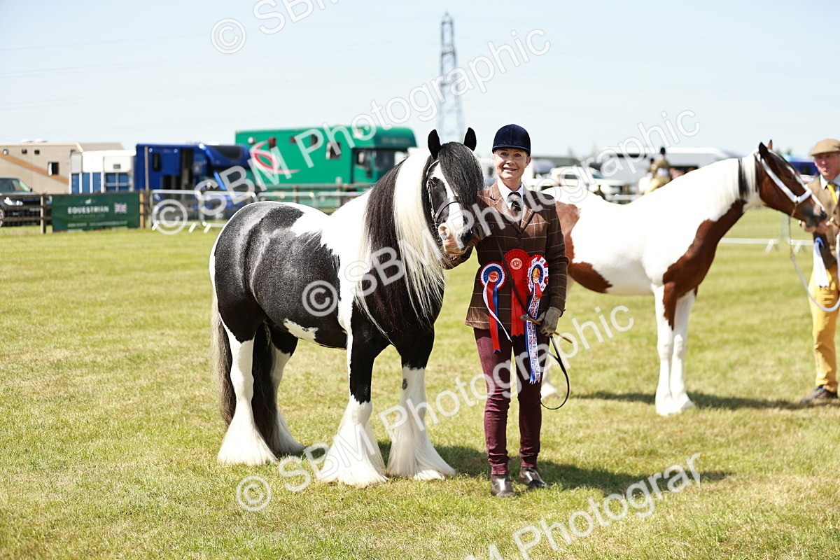 SBM_05529 - Class 41-45 - Riding Pony-Hunter Pony Breeding