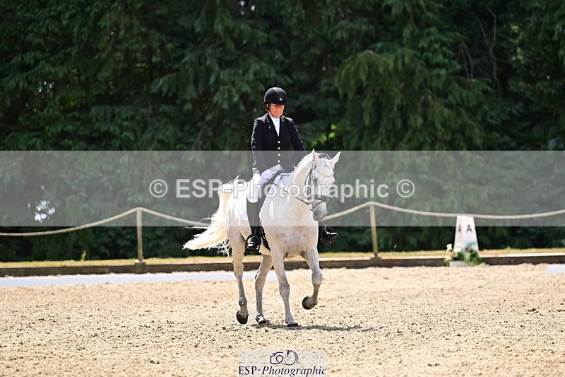 260802A-121702-06162 - Novice Silver break- end