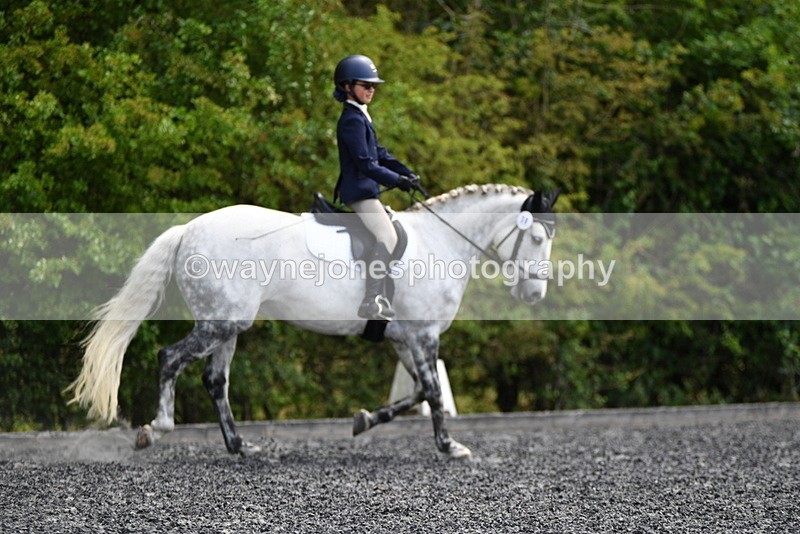 WJ5_1137 - Time 13:45 to 14:20