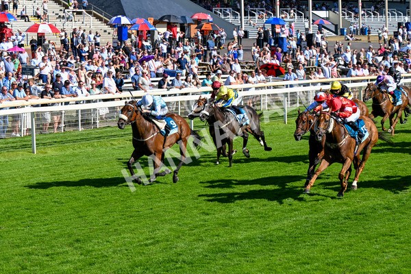 110725-Race 6-Brazen Bolt-0494 - Race 6 5.07pm William Hill Keep Your Raceday Positive Handicap