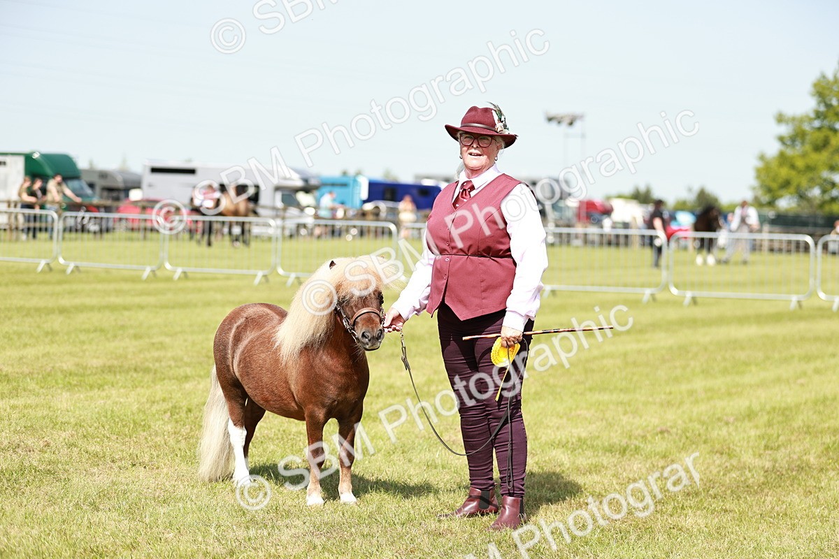 SBM_02023 - Class 14-23 - Mountain & Moorland In Hand Non Welsh