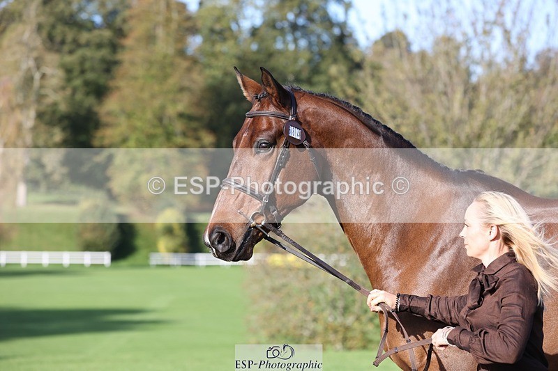 241027-103158-15949 - 582-Courtney.Romcke-JD.ON.THE.ROCKS