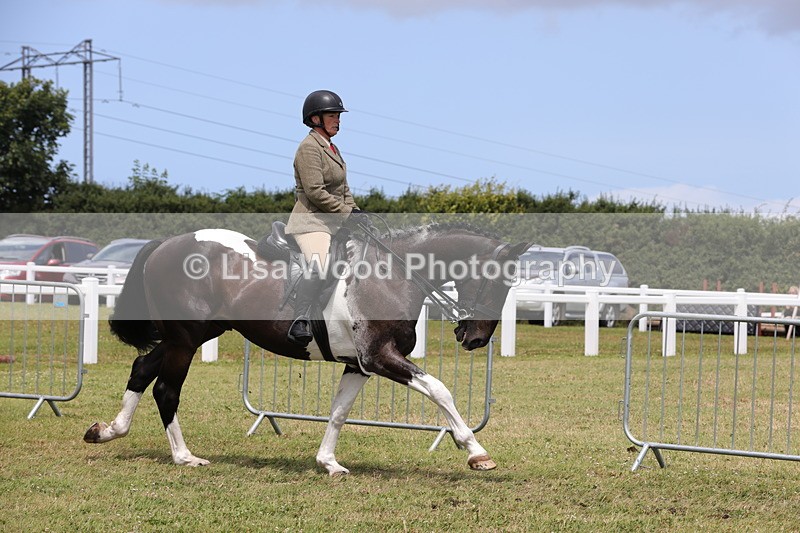 1X9A4386 - Class 34: Veteran Ridden