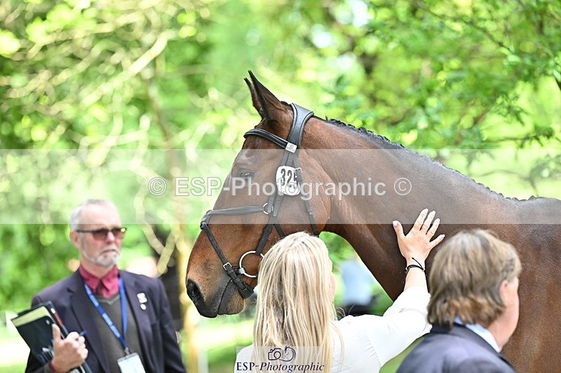 250521A-151704-00401 - B-325-Kat.Raybould-MONBEG.SHELBY
