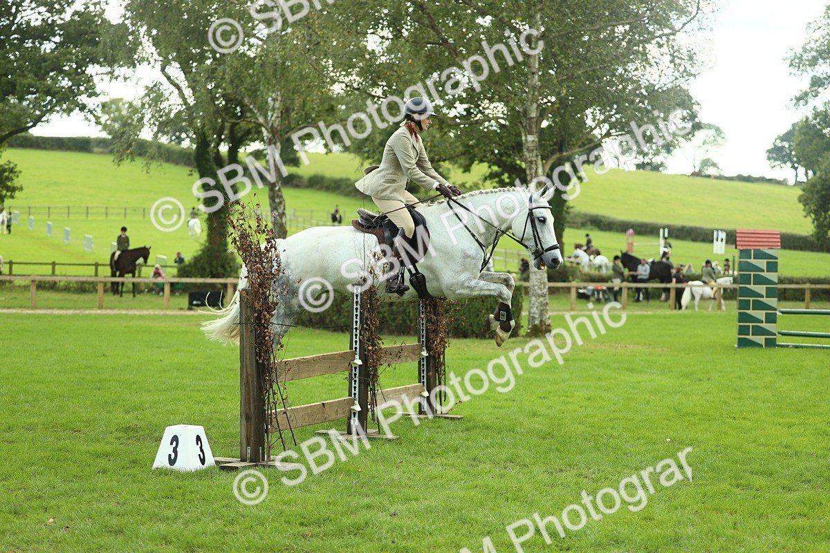 SBM_47982 - S32 - Novice & Newcomers Working Hunter