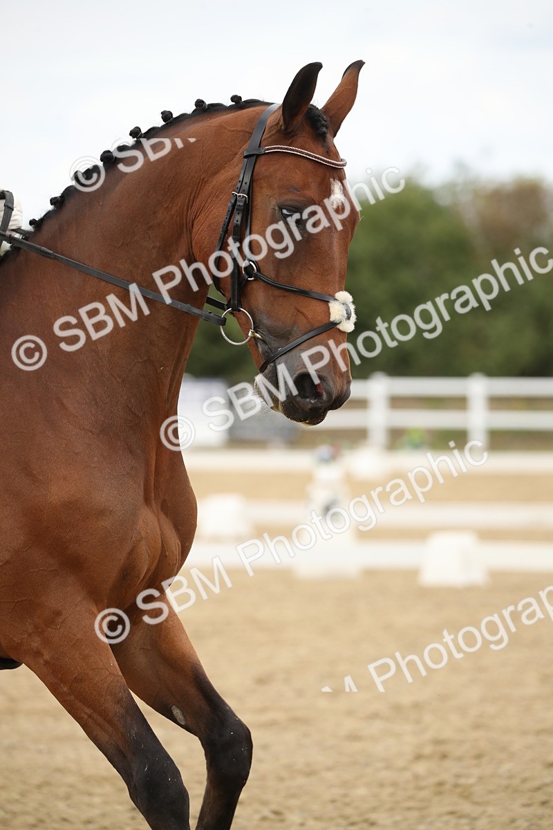 SBM_002192 - Class 6 - Elementary 5 - 13.30-14.34