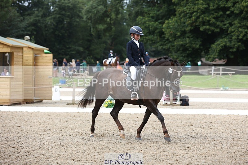 230812-103645-03280 - Cls 5 Novice Bronze Start to 10.55 break