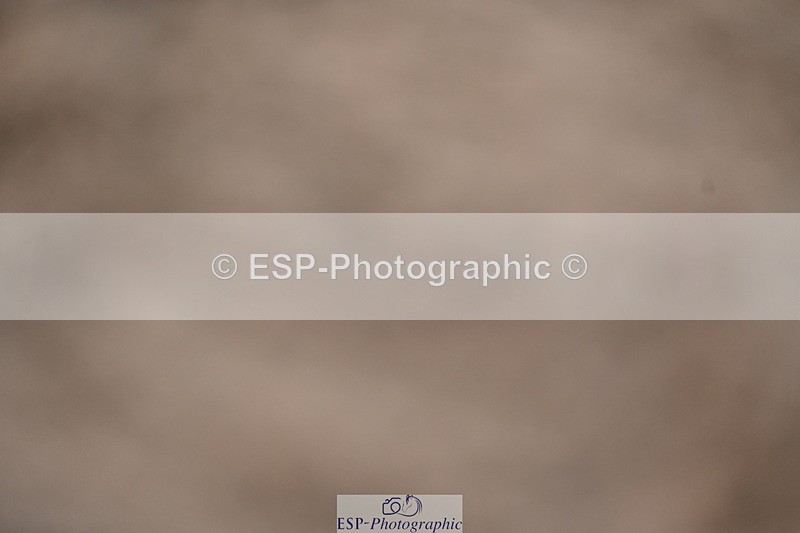 240323A-111025-02544 - DR Novice 24