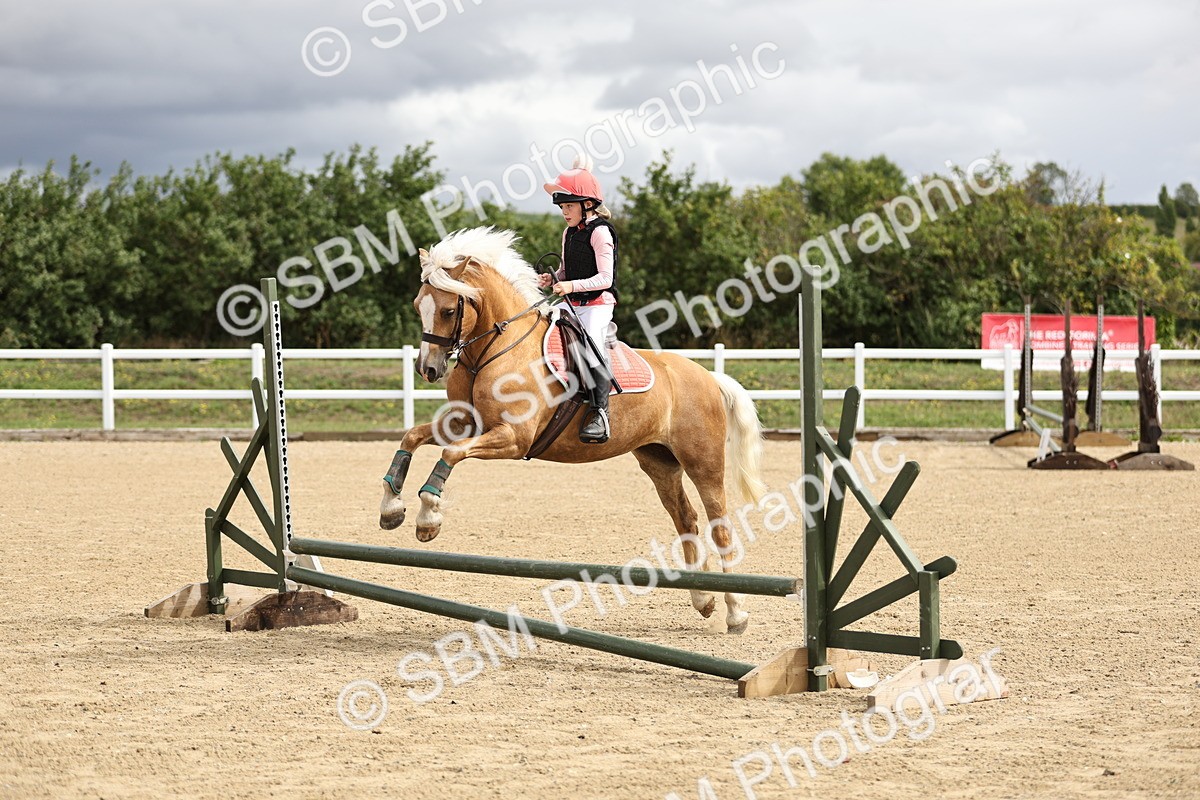 SBM_002932 - 50cm