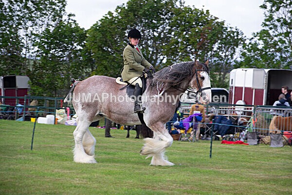 DSC_0229 - Ring 1