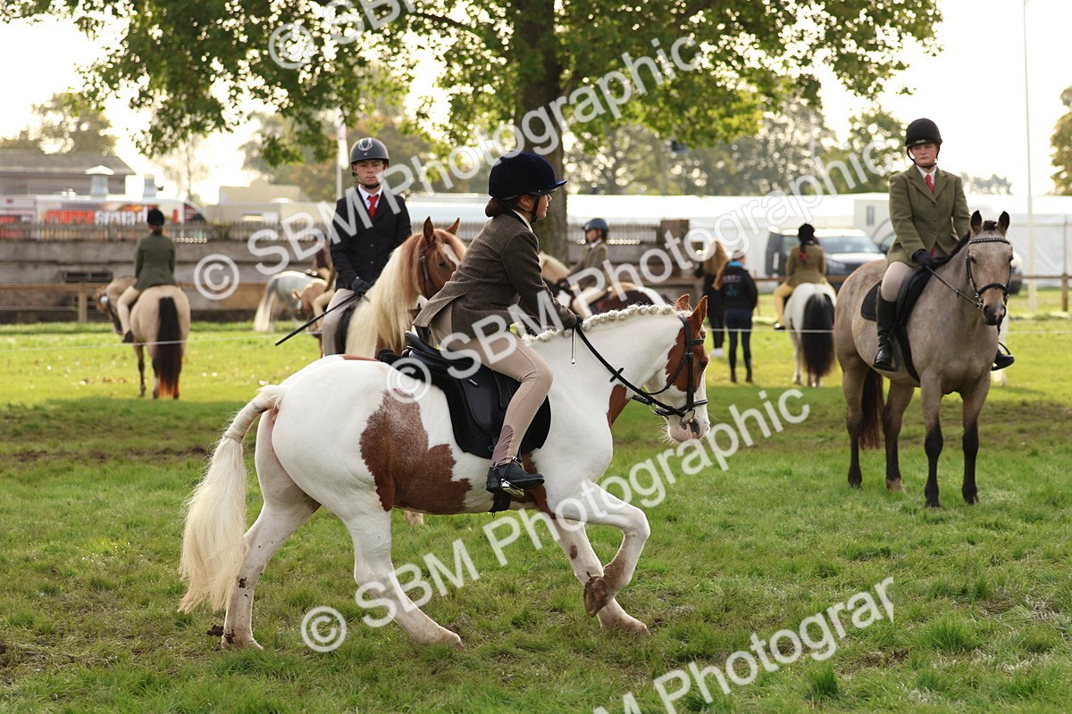 SBM_56625 - S40 - Starters Ridden Showing