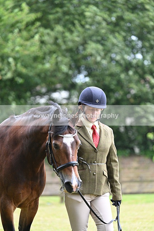 WJ7_6248 - Class 4a Prettiest Mare over 14hh