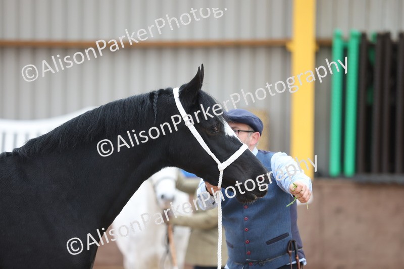 20251109-0955 - Class 26 - 2 and 4 Year Olds