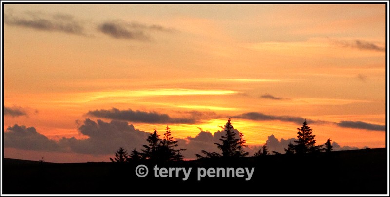 Nr Princetown, Dartmoor 2 - Devon