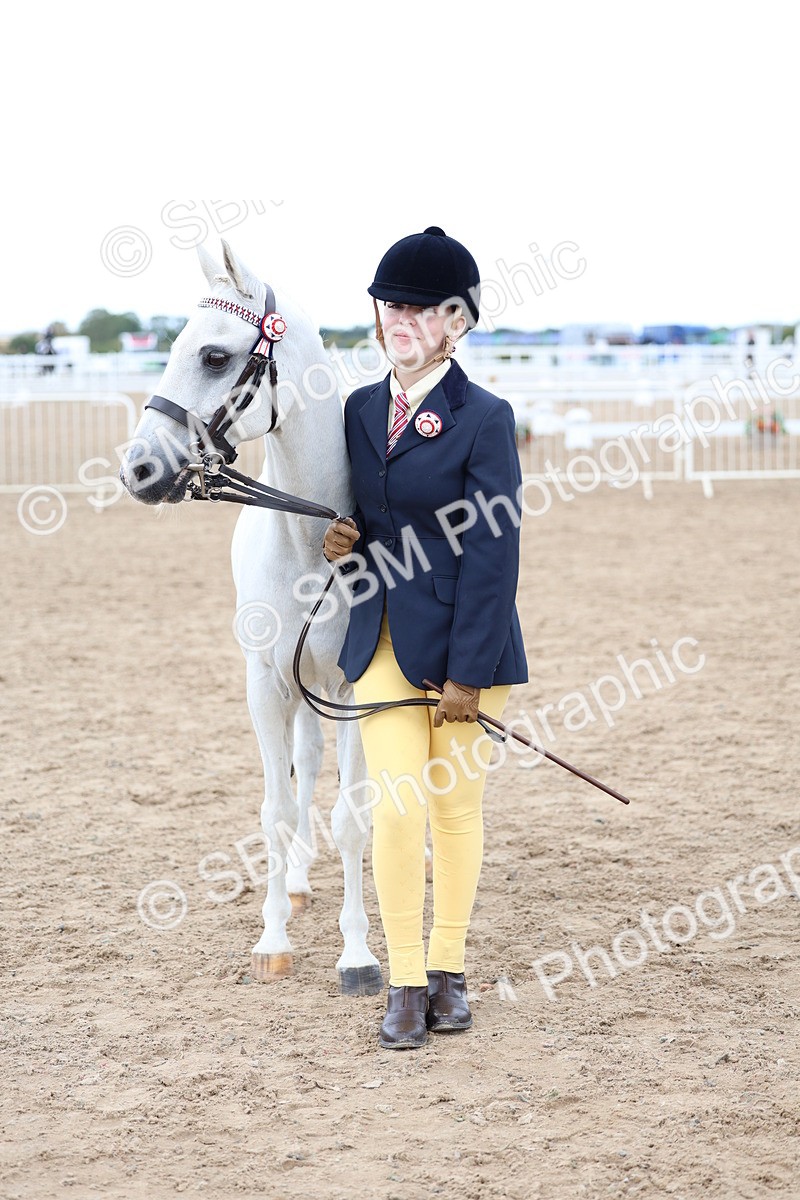 SBM_05057 - Class 27 - IH Competition Horse or Pony