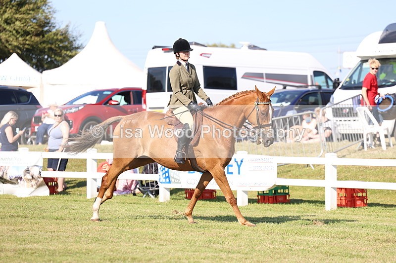 3E7A5544 - Class 2: Rising Star Large Hack/Riding Horse
