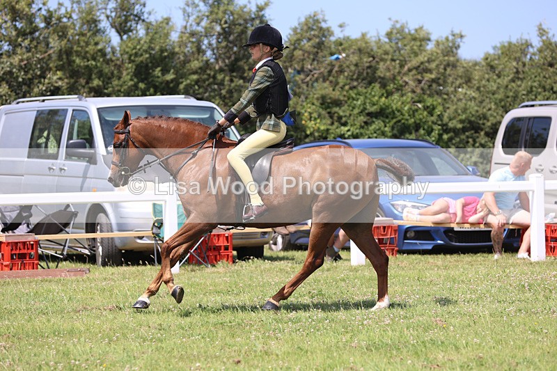 JPP_2587 - Class 21: Working Hunter 60cm