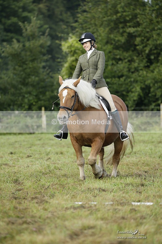 BVRC 120921 2 - Bourne Valley Riding Club UA Dressage & Show Jumping 12/09/21