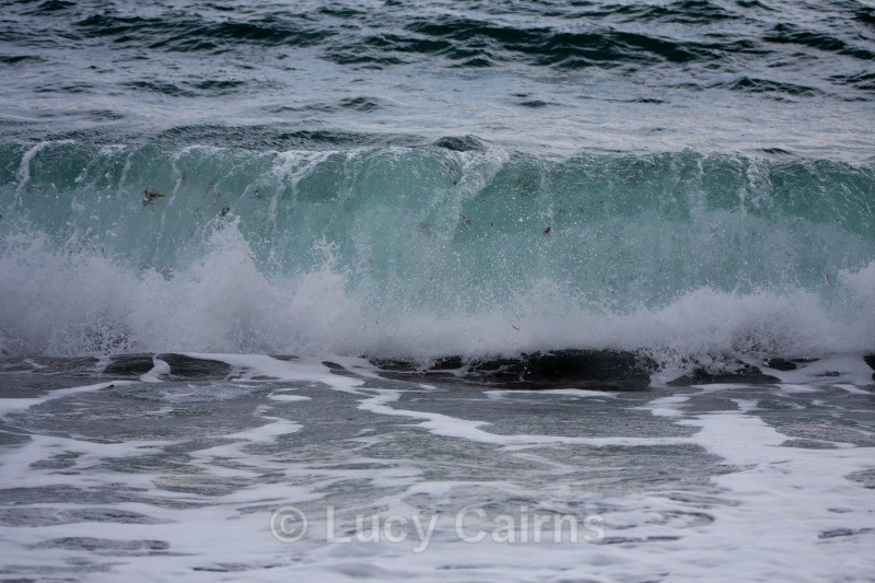  - Dorset - Photography Workshop