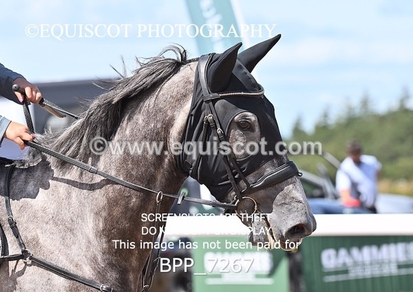 BPP_7267 - CLASS 14 FRI Nupafeeds Senior Dicovery/1m open