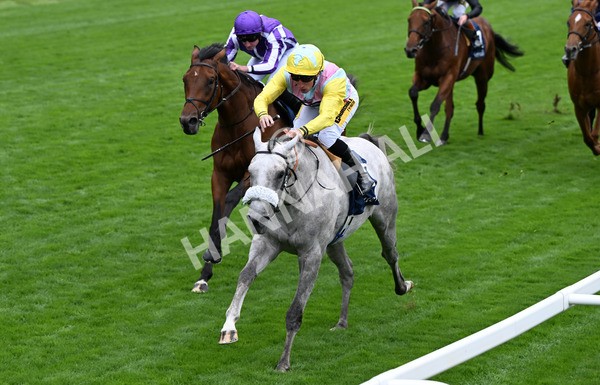 200825-056 Gewan - Race 2 2.25pm Tattersalls Acomb Stakes
