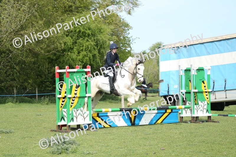 20260426-1649 - Class 14 - Novice 60cm