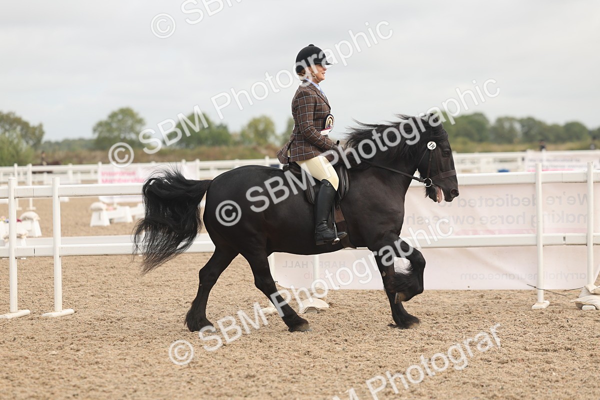 SBM_02044 - Class 14 - Ridden M&M Wildcard