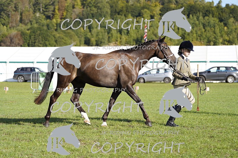 _DSC9517 - Class 8 & 17 Ridden Hunter & Ridden Hunter Pony