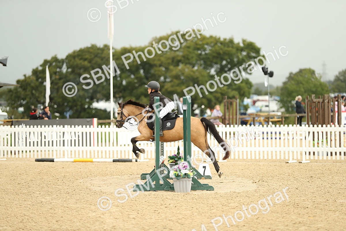 SBM_34271 - J60 Clear Round 50cm
