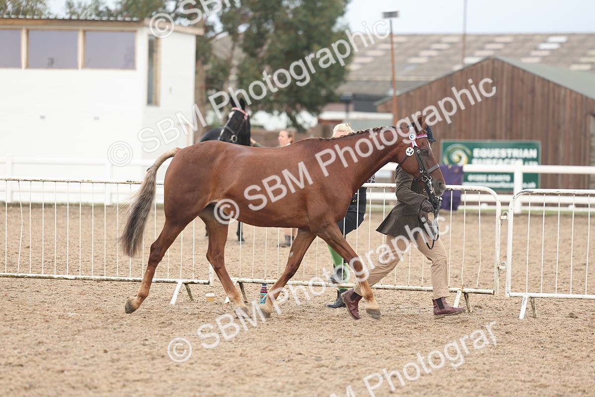 SBM_08438 - Class 29 - IH Veteran Pony