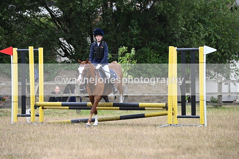 WJ6_0147 - Class 13 Novice Jumping 60cm