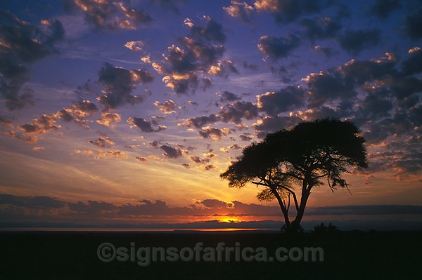 Amboseli Sunrise