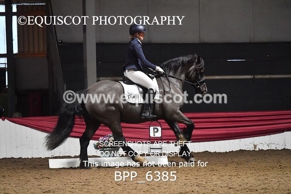 BPP_6385 - 37 Ellis Simister