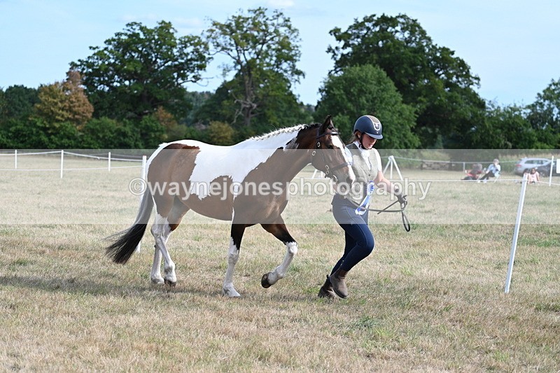 WJ7_8174 - In-hand Championship