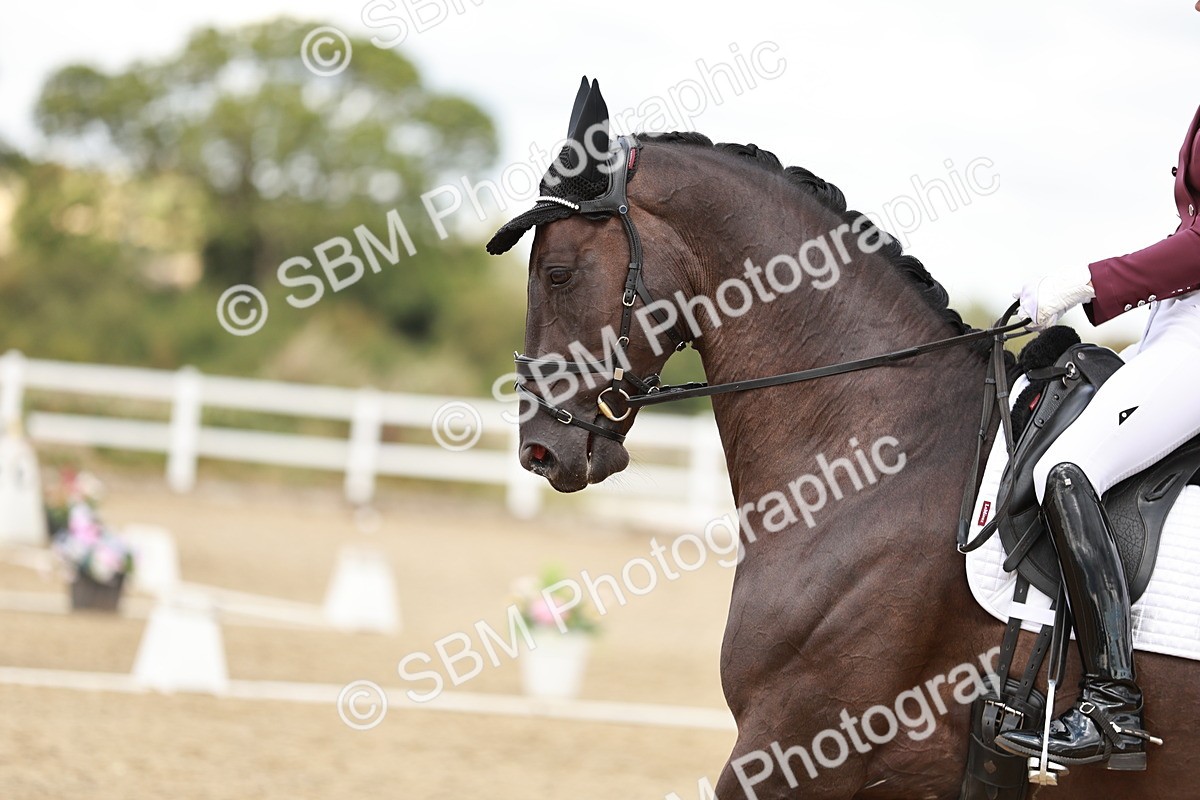 SBM_005631 - Class 5 - FEI PSG - 13.54.14.58