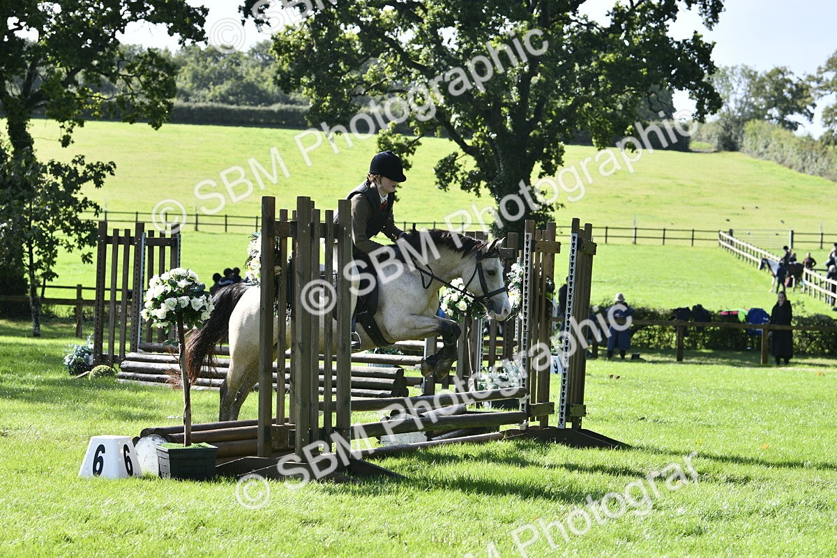 SBM_38200 - S31 - Novice & Newcomer Working Hunter Pony
