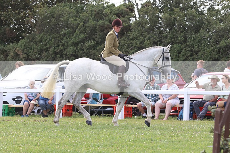 JPP_3829 - Class 23: Working Hunter 80cm