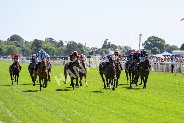 110725-Race 2-Sayidah Dariyan-0202 - Race 2 2.45pm William Hill Summer Stakes