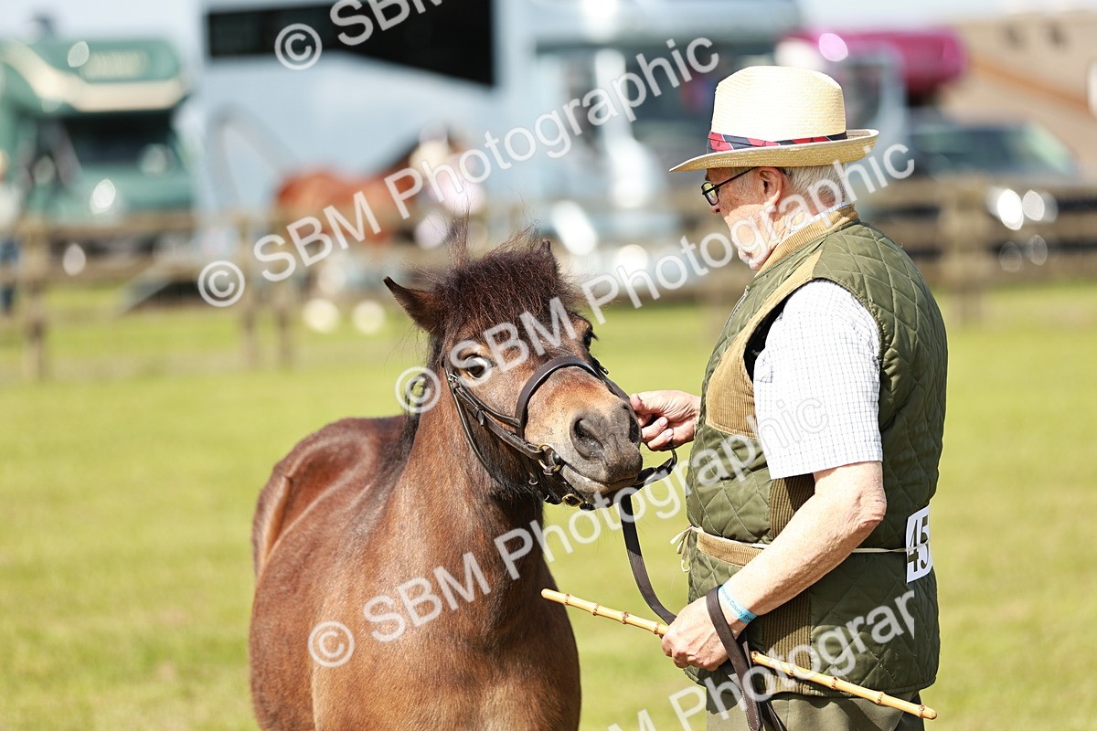 SBM_01817 - Class 14-23 - Mountain & Moorland In Hand Non Welsh