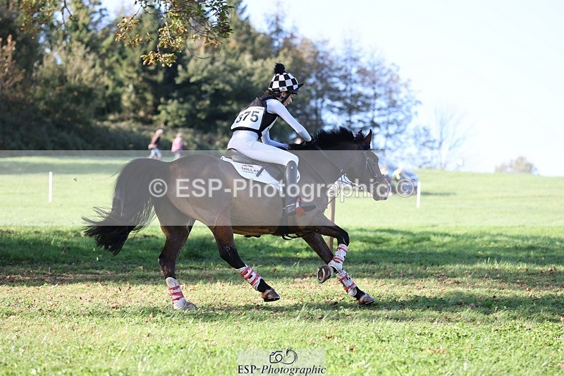 241026-112142-12285 - 375-Erin.Brown-50.SHADES.OF.BAY