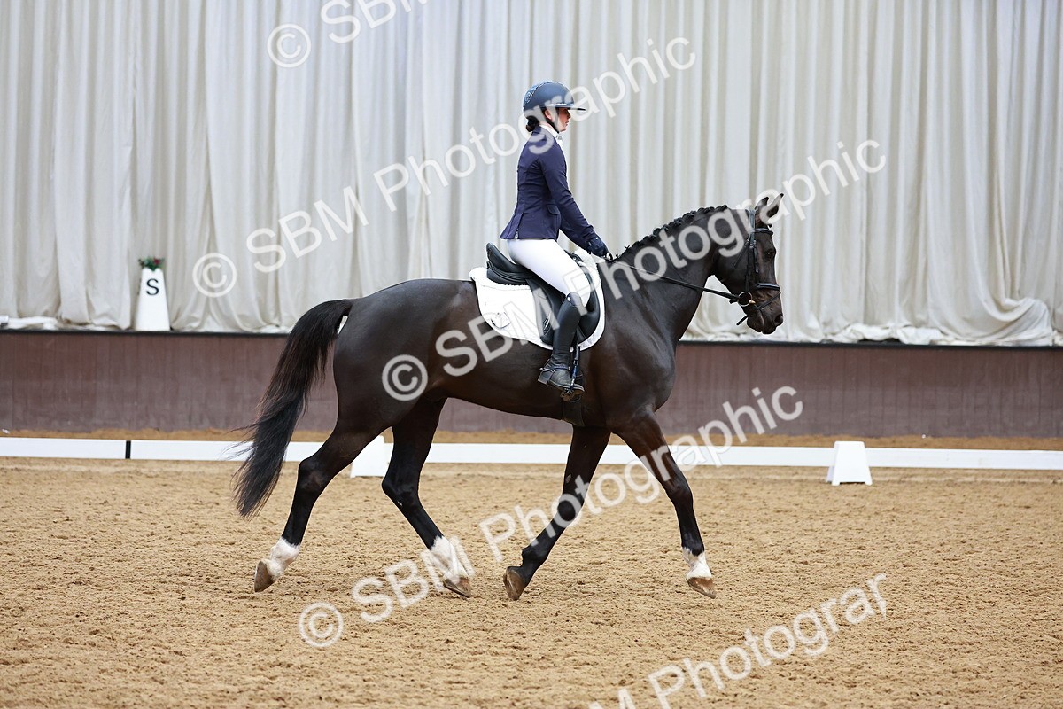 SBM_003485 - Class 11 - Novice 2