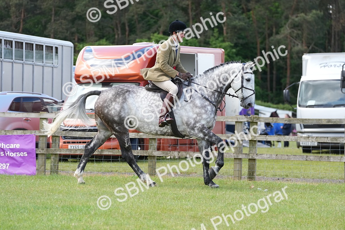 SBM_14912 - Class 100-102 - RIHS Working Hunter